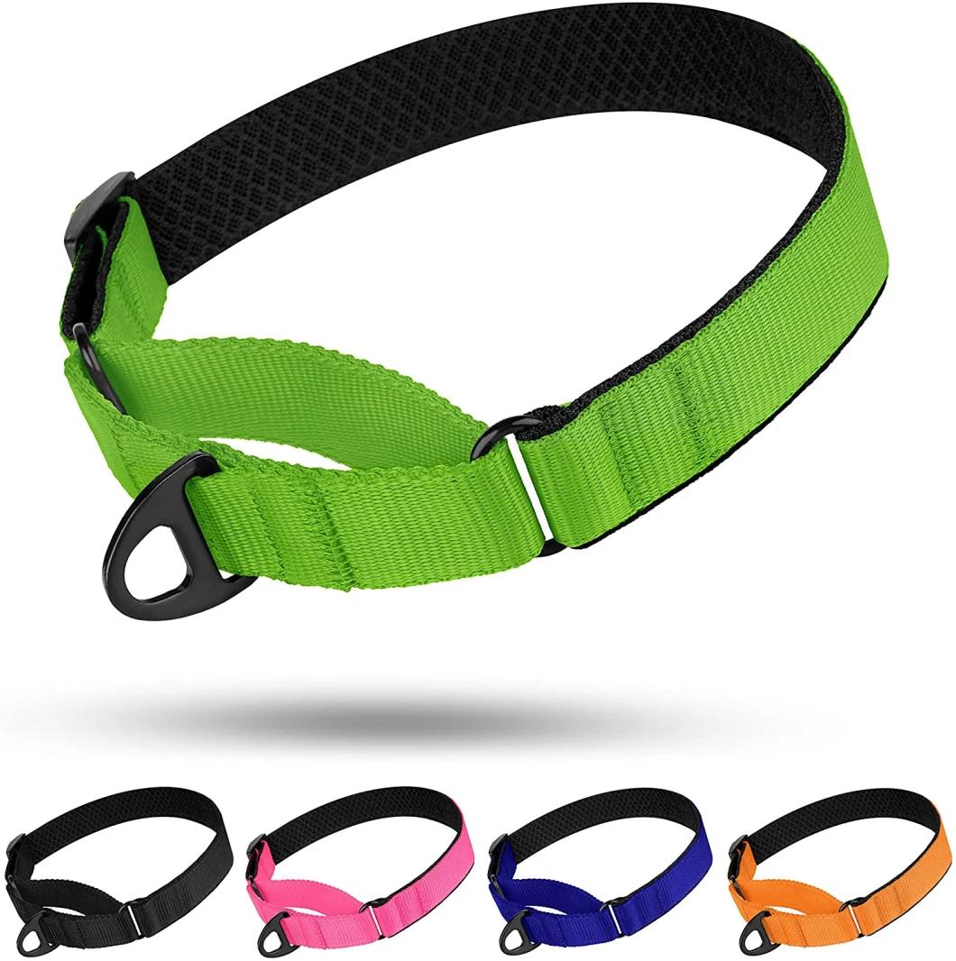 High Quality Soft Padded Nylon Dog Collar