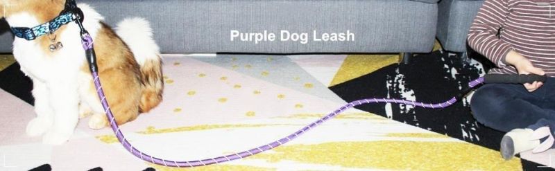 Highly Recommended Sturdy Rope Leash Professional Climbing Rope Dog Leash