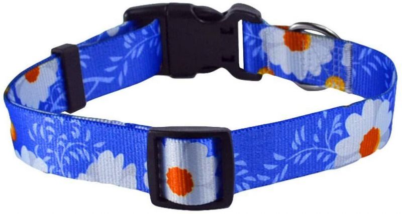 Unique Design Custom Pattern Dog Collar Leash