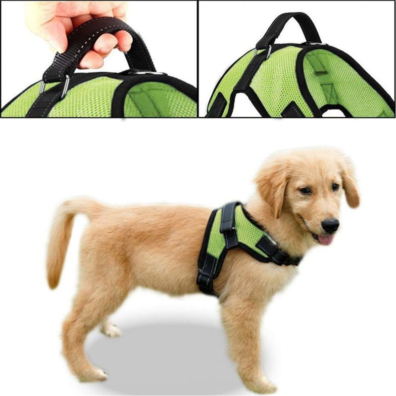 No Pull Mesh Pet Harness with Extra Handle on Top