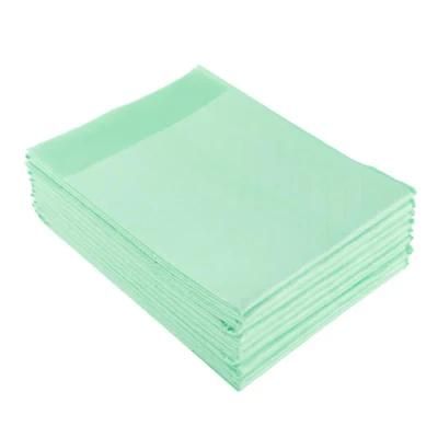 Hot Sale Pet Puppy Training Pads 45X60cm Blue Disposable Underpad