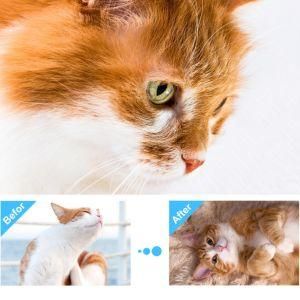 Pet Product Cat Calming Spray Stress Reducing Natural Feline Pheromone Anxiety Relieve Calming Spray Correct Behavior Spray for Bailigao