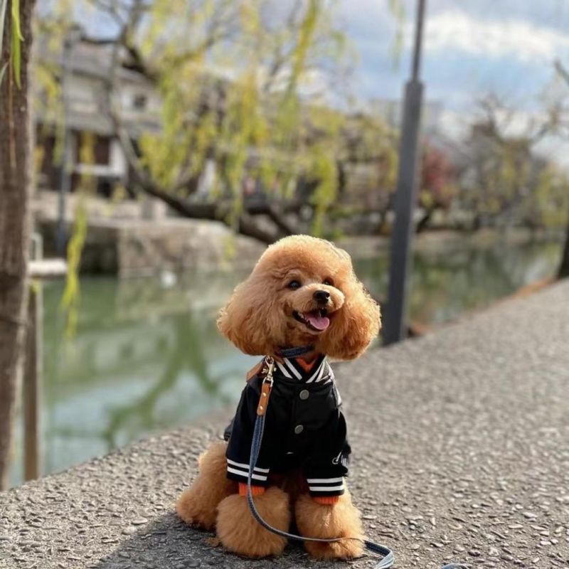 Handsome Pet Coat PU Coat Pet Jacket Dog Clothes Rain Proof Coat