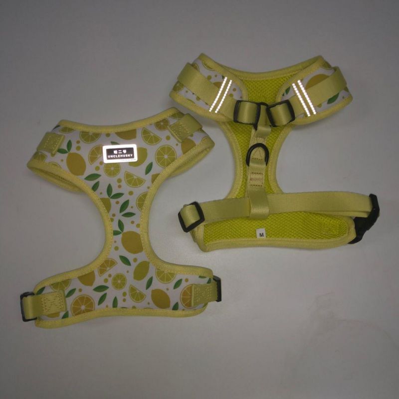 2021all Kinds of Full Sets Breathable Mesh Pet Dog Harness Running Training Pet Products