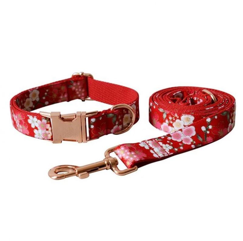 Japan Style Custom Dog Collar Leash with Fast Delivery