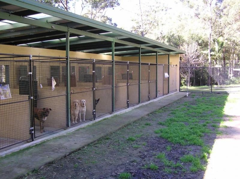 Warehouse Storage Galvanized Metal Welded Dog Kennel Run.