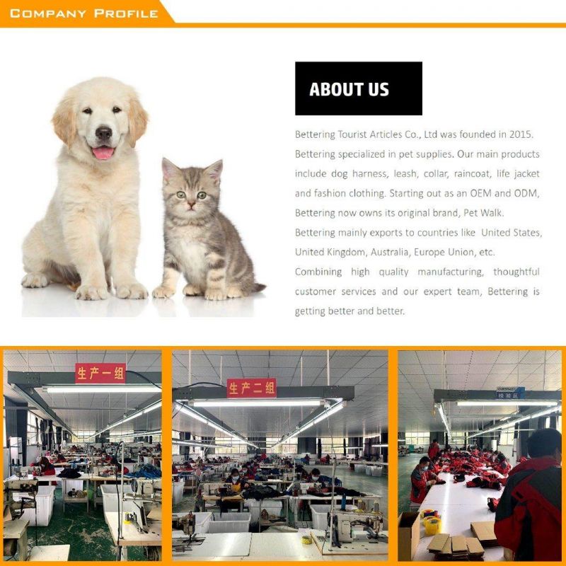 2022 Bright Printed Fabric Reflective Waterproof Dog Jacket