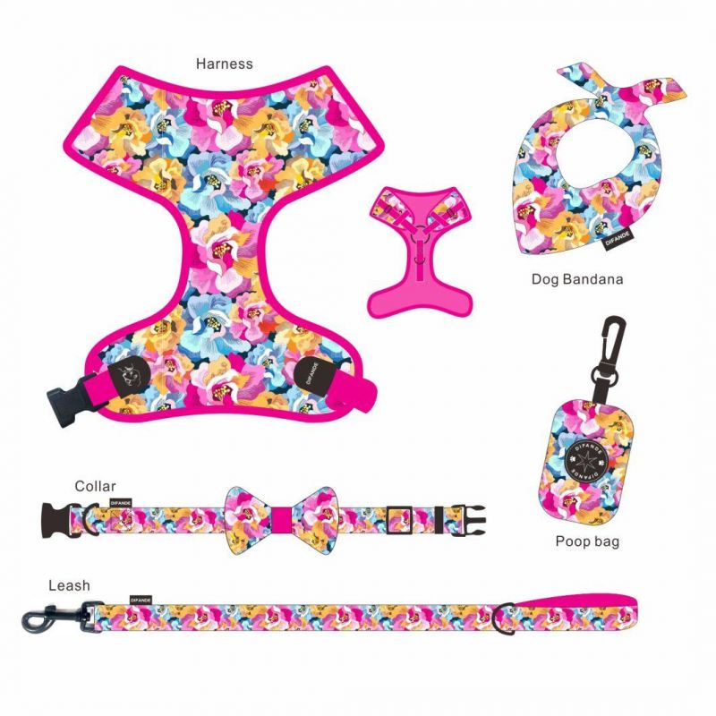 Luxury Pet Accessories 7 in 1 OEM&ODM Soft Padded Polyester Personalize Dog Leash Set