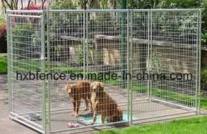 Welding Mesh Pet Safe Galvanized Dog Kennel