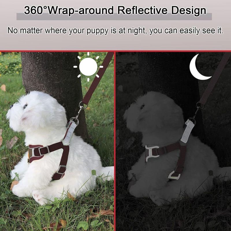 Popular Cute Pet Harness with Cartoon Design Dog Harness and Leash Set