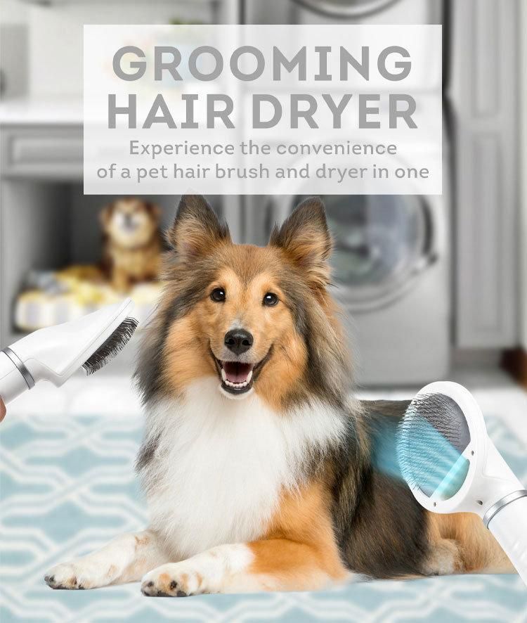 2 in 1 Adjustable Temperature Pet Grooming Hair Dryer