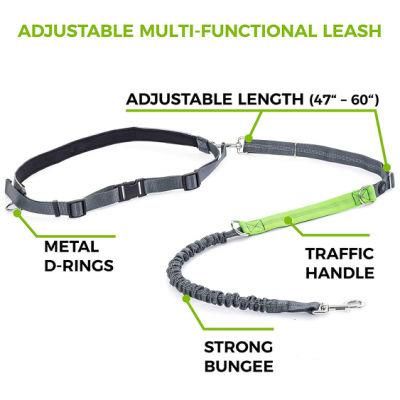 Shock Absorbing Bungee Custom Hands Free Dog Collar Leash