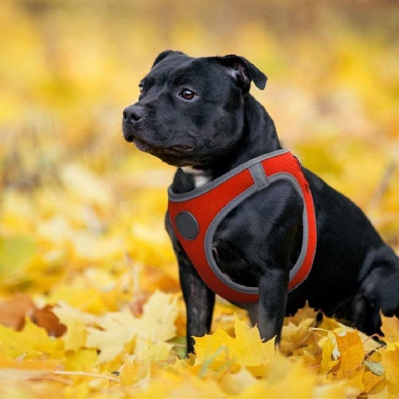 No Pull Reflective Mesh Dog Harness