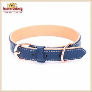 China Pet Supplies Genuine Leather Dog Training Collars (KC0142)