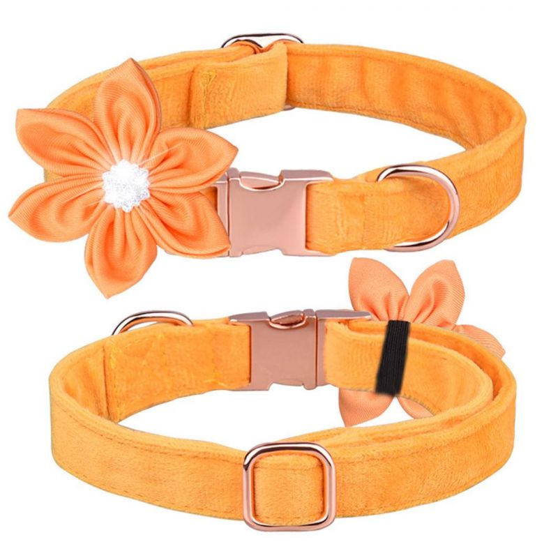 Fashionable Six Petals Design Dog Collar with Matching Dog Leash