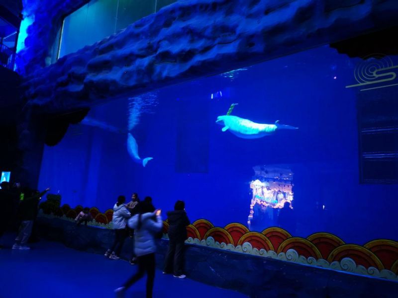 Acrylic Fish Tank Aquarium Project