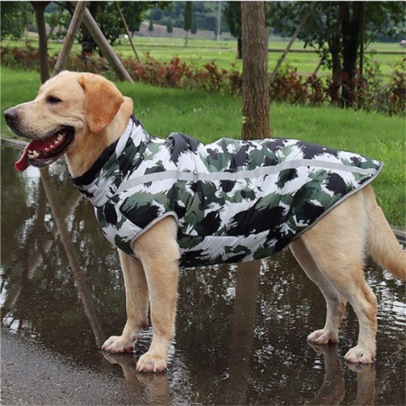 Reflective Padded Coat for Dog
