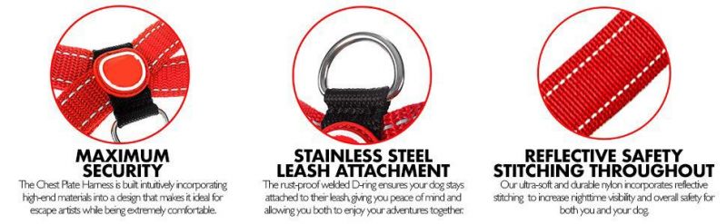 Good Night Visible Safe Jogging Dog Harness with Sturdy Reflective Stitching