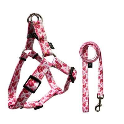 2021 New OEM Wholesale Personalized Small Designer Vest Soft Dog Harness and Leash Set