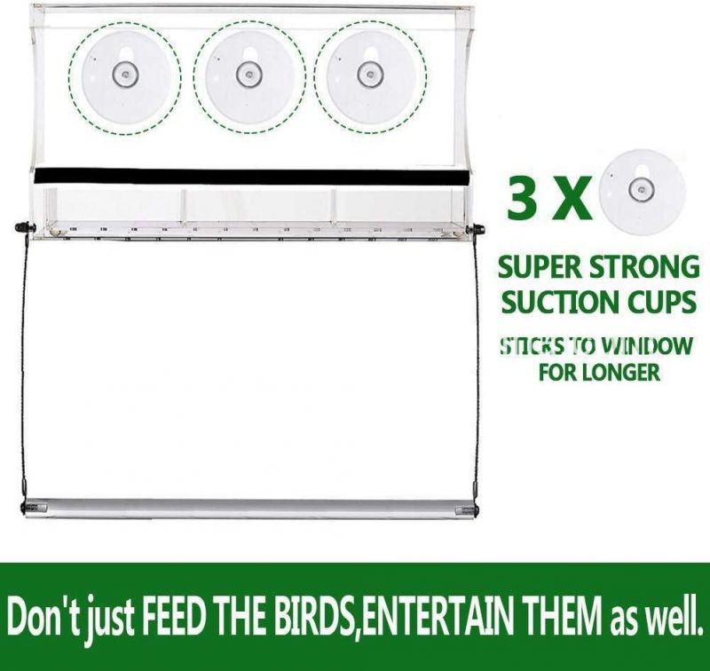 Factory Direct Sale Acrylic Bird Water Feeder