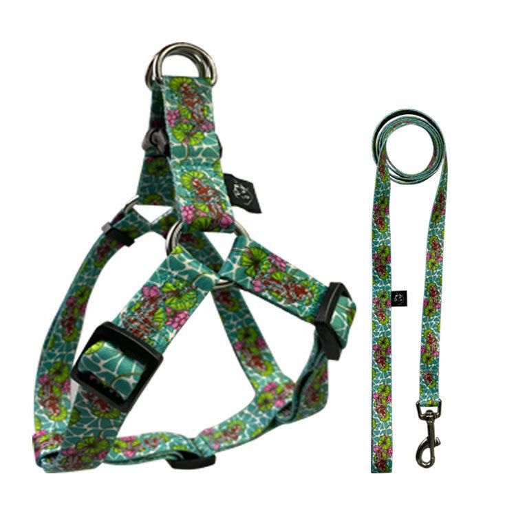 2021 Latest Desirable Adjustable Polyester Pet Dog Harness and Leashes Set