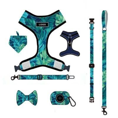 High Quality Pet Supplies Custom Printed Dog Harness and Leash Set Dog Accessories/Nylon/Wholesale Price