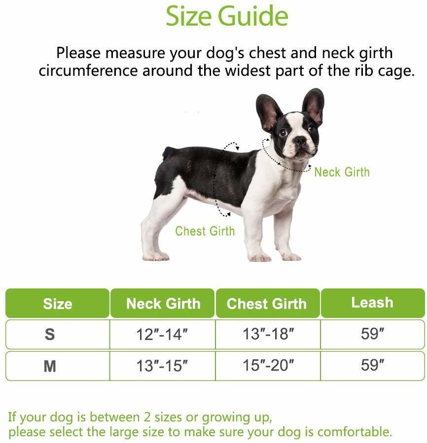 Amazon Dog Harness and Leash Set, Pineapple Sunflower Double-Sided Printed Adjustable Soft Padded Bondage Puppy Vest Harness