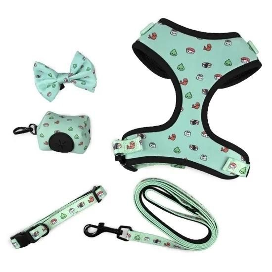 Adjustable Dog Harness Set with Matching Collar Lead Poop Bag Holder, Pet Leash