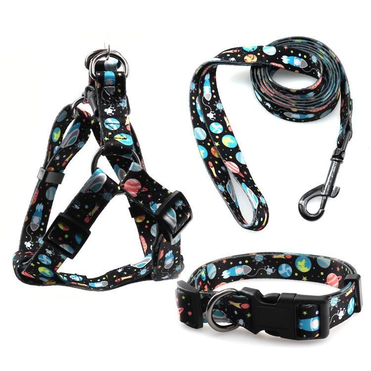 Wholesale Colorful Custom Logo Pets Accessories Nylon Dog Collars and Leads for Pet Supplier