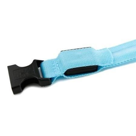 Safety Dog LED Collar Flashing Light up, Glow and Bright (Small, Blue)