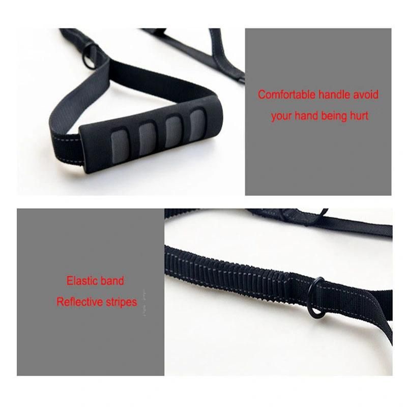 Dog Leash with Two Handles Heavy Duty Elastic Bungee Dog Training Leash