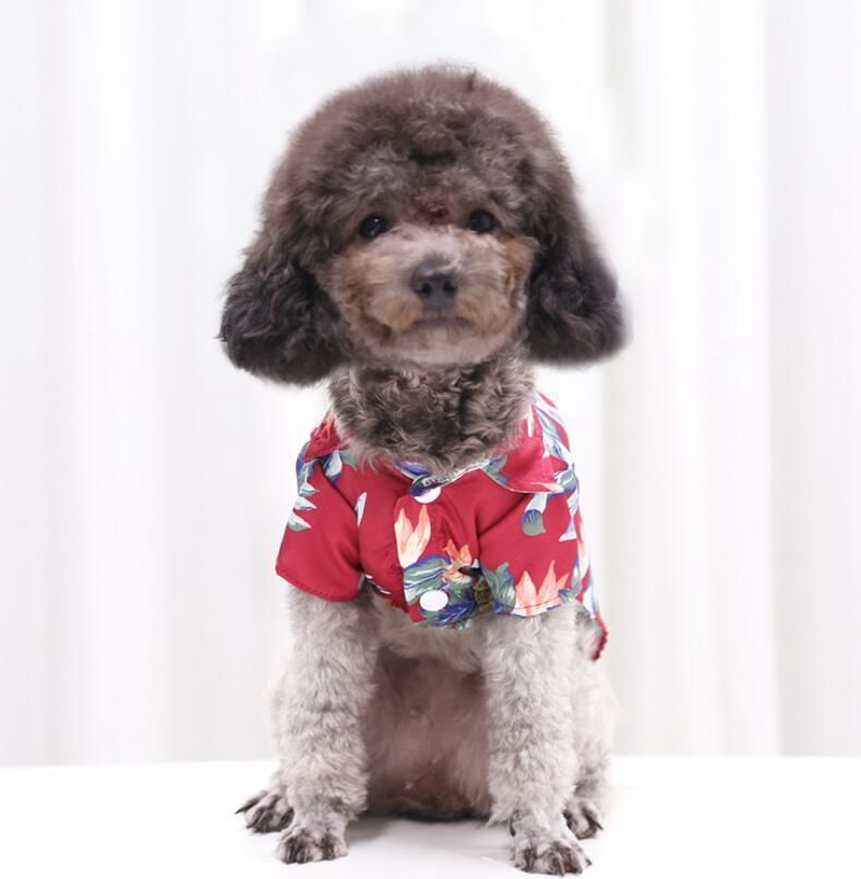 Safe Natural Cotton Fabric Summer Pet T-Shirt