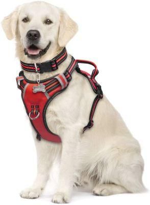 No Pull &amp; Choke-Free Waterproof Dog Harness