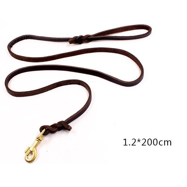 Hot Sale Soft and Sturdy Leather Premium Pet Leash