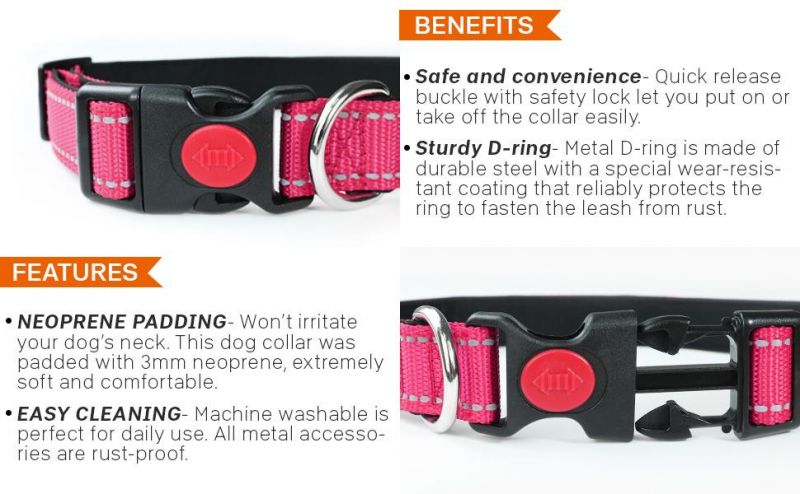 Soft Neoprene Padded Adjustable Dog Collar with Safety Locking Buckle