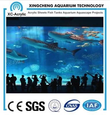 Giant Aquariums/Wall Hanging Aquarium/Clear Perspex Sheet