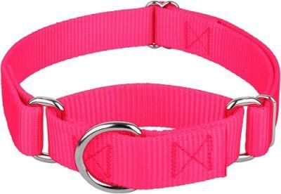 OEM Pet Products Nylon Dog Collar Leash Reflective Dog Collar