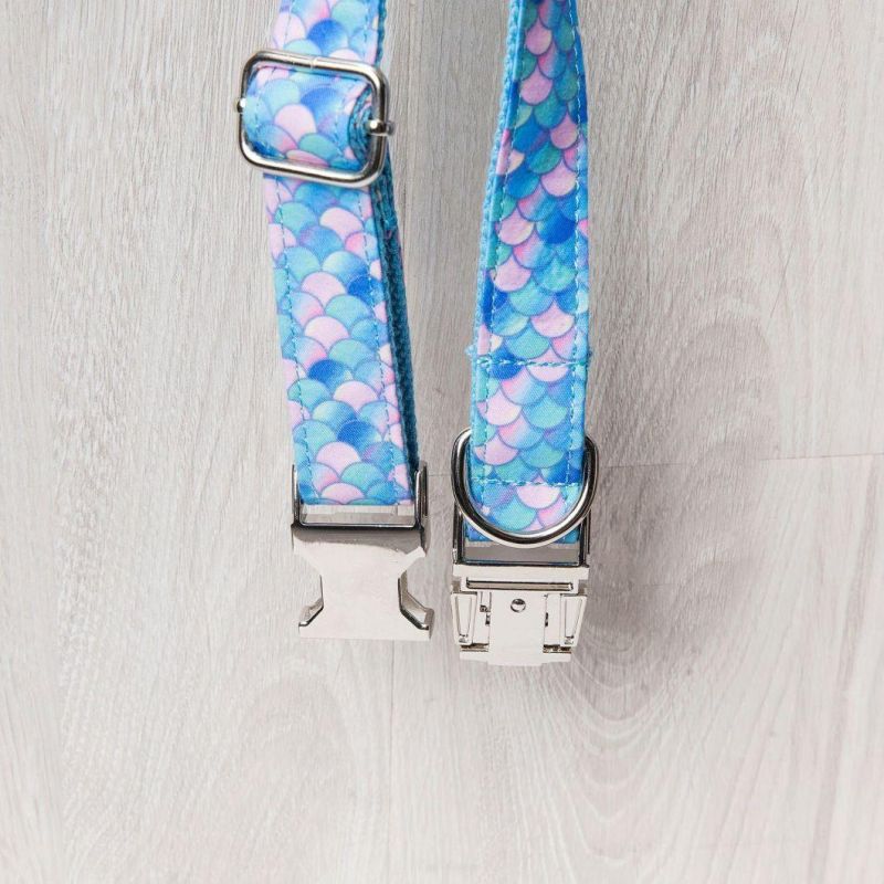 Wholesale Free Design Dog Products Metal Buckle Neoprene Dog Collar Designer