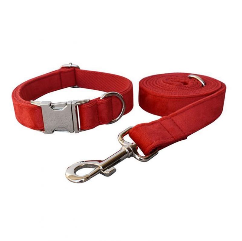 Velvet Dog Collar Leash with Quick Realse Metal Buckle