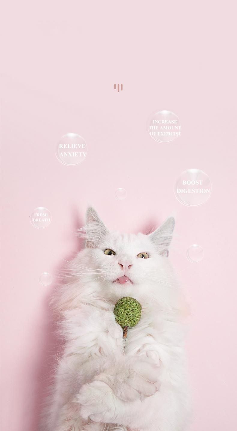 Yee Hot Selling Pets Snack Cat Food Catnip