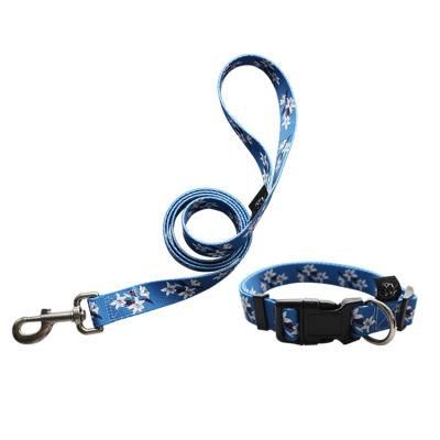 Pet Products Nylon Leather Dog Collar Leash Set with Custom Paper Card Packaging