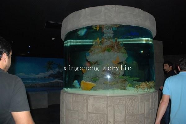 Saltwater Acrylic Plexiglass Aquarium