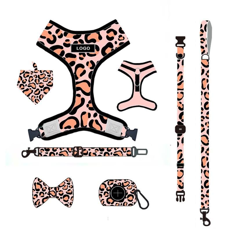 High Quality Pet Supplies Custom Print Dog Harness Belt and Leash Set Dog Accessories/Pet Accessory/Pet Products/Pet Supply/Nylon