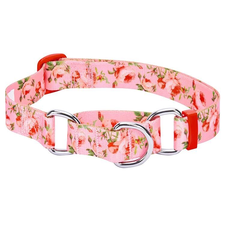 Custom Logo Printed Pattern Martingale Dog Collar