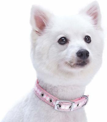 Lightweight Christmas Dog Collar with Durable 3m Reflective Threads