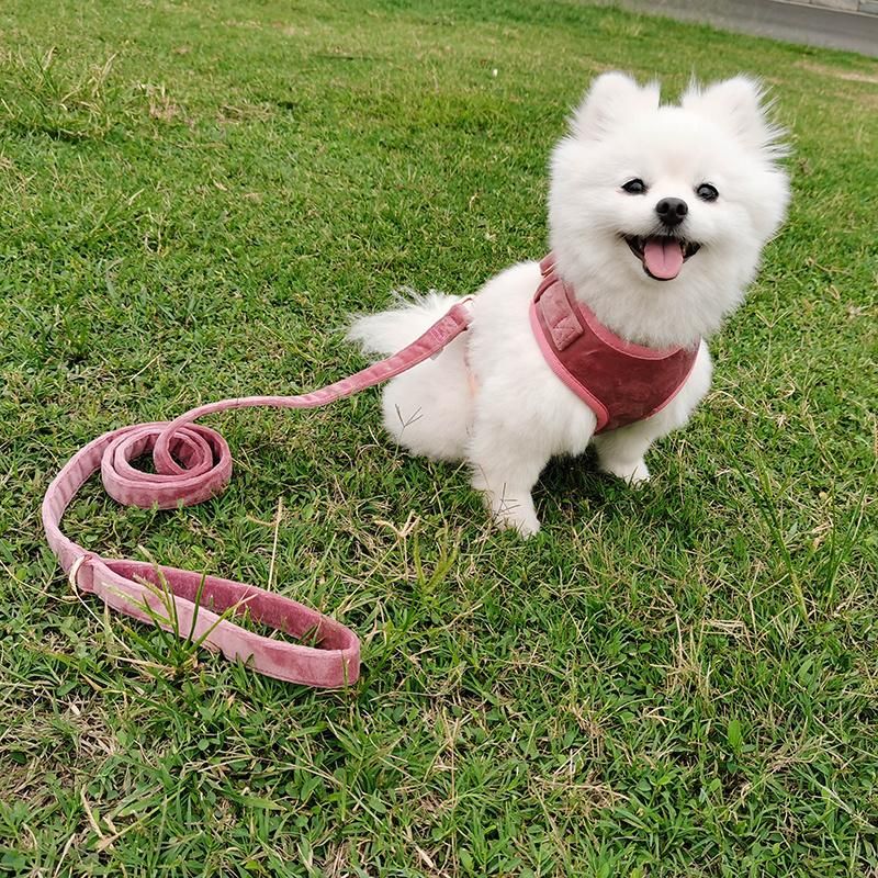 Eco Friendly Printing Dog Leash Harness
