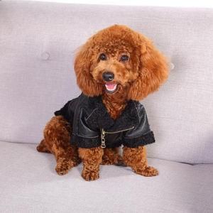 Amazon Hot Sell New Style Leather Dog Jacket Clothes Pet Product