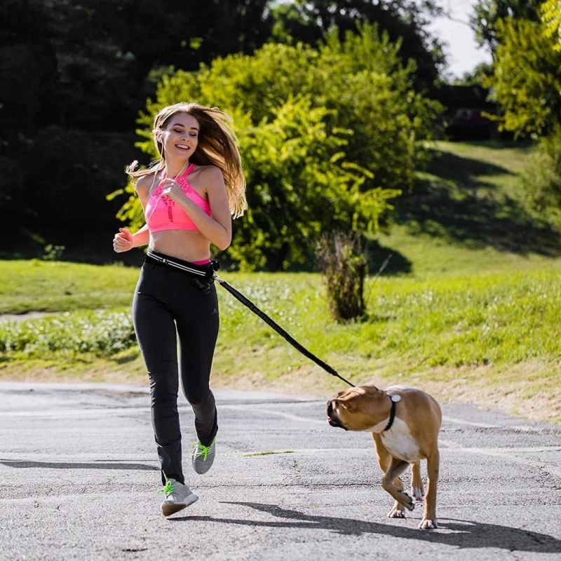 Hands Free Bungee Dog Leash with The Reflective Waist Belt for for Walking & Running with Small, Medium or Large Dogs