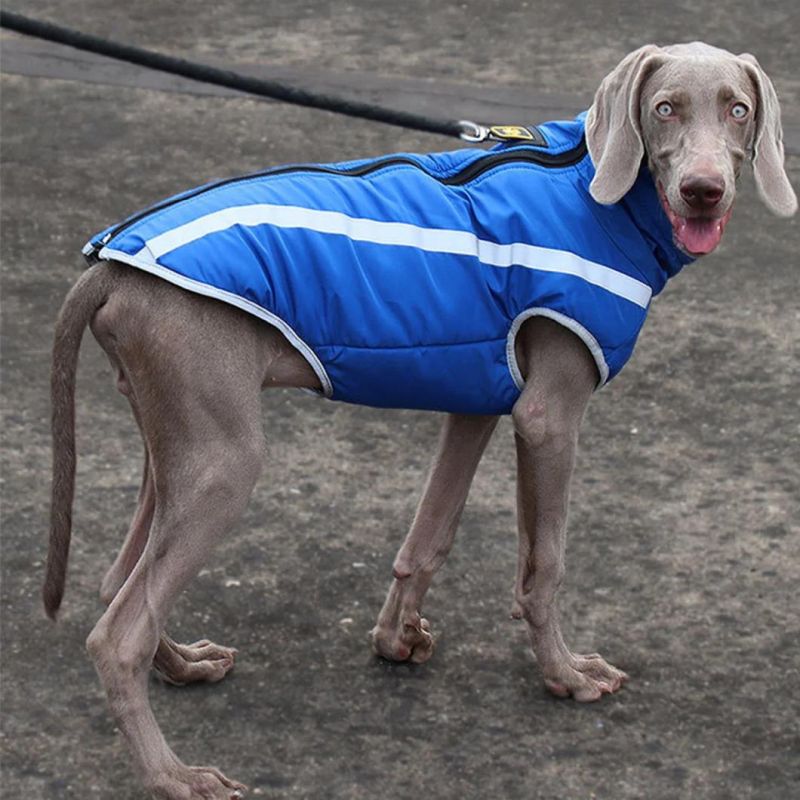Dog Jacket for Cold Winter Soft Warm Fleece Lining Pet Coat