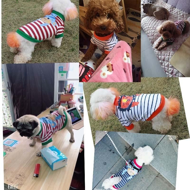 Warm and Comfortable Appearal Pet Clothing Dog Designer Clothes Pet Cloth From China